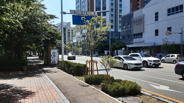 안양시, 관평로-부림로-벌말로 3개 노선 7종 1만5천 그루 식재