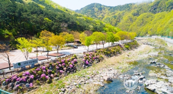 단양, 관광공사 운영 오토캠핑장 일제히 개방