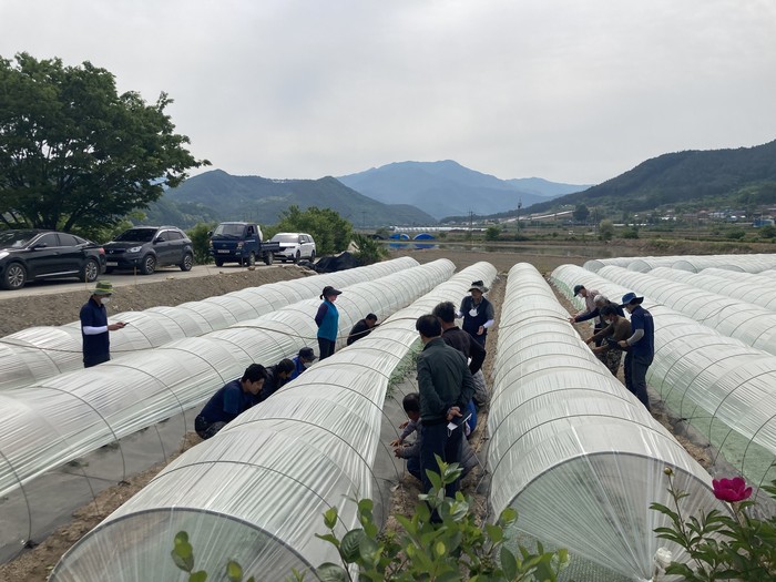 진안군농협조합공동사업법인, 명품수박 현장교육 실시