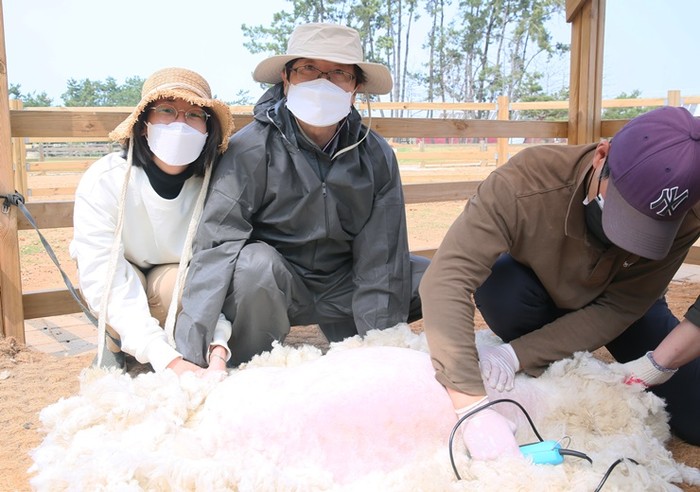 상하농원, 더운 여름 맞춤형 동물복지 체험전