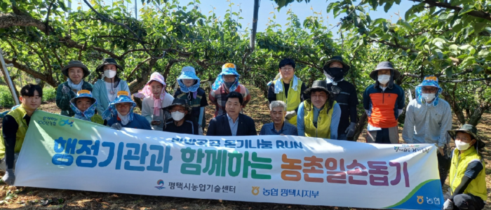 평택시농업기술센터, 농협중앙회 평택시지부 농촌일손돕기 나서다
