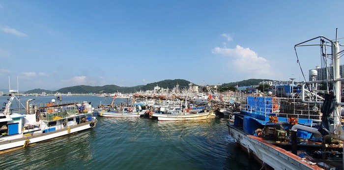 [포토]맑게 개인 충남 보령 대천항