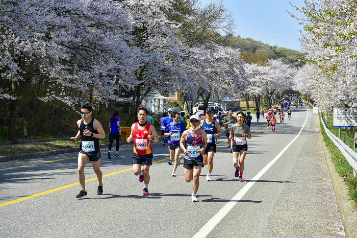 충남 서산시, 서산 관광사진 공모전 입상작품 전시회