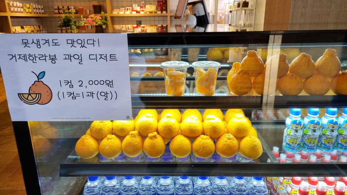 식물원 옆 카페에서 맛보는 거제의 과일 디저트