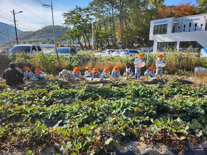 거제 농업회사법인 청사초롱마을, 재지정 마을기업으로 도약