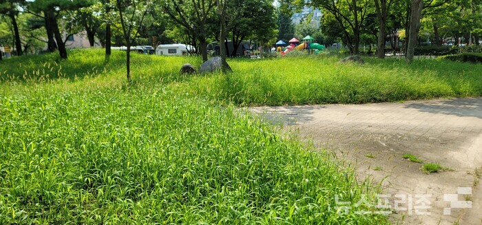 진주시 신안-평거공원 관리 엉망∙∙∙걷기 산책로는 진흙탕, 잡초만 무성