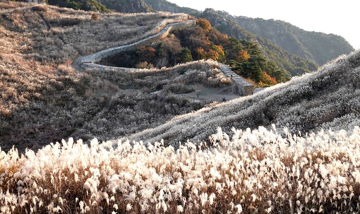 창녕군, 가을 여행지 창녕 화왕산과 부곡온천으로 놀러오세요