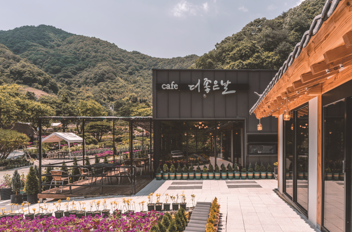 하동군, 겨울에 방문하기 좋은 하동핫플 11선 소개