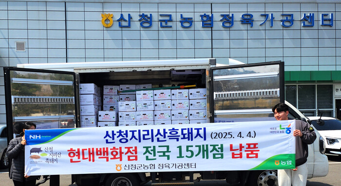 산청군농협, 전국에 명품 산청 흑돼지 명성 알린다