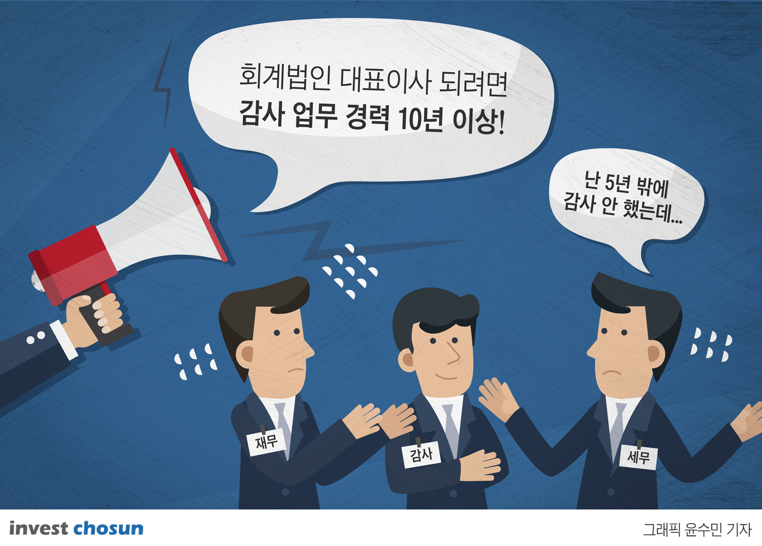 [Invest]회계법인 대표에 감사업무 경력 10년…민감한 곳 어디?