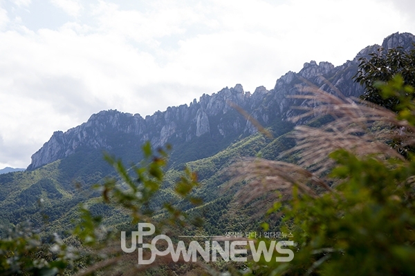 인제~속초 미시령옛길의 울산바위전망대 캬~! 설악산 단풍절정 시기는 2주 후