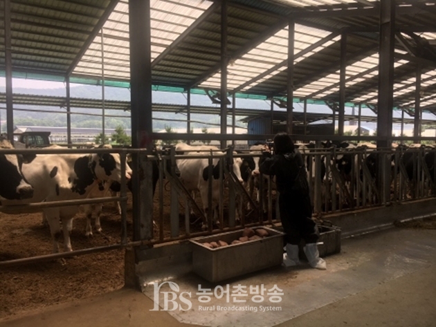 [이천] 달무리 농장, 깨끗한 축산농장 조성사업 모범이 되다