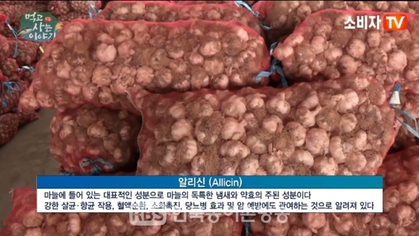 [영상뉴스]지금이 제철! 일해백리(一害百利) 식재료 마늘