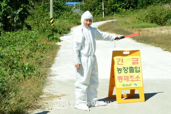 강원 화천, 돼지열병 차단 주둔 군부대도 동참