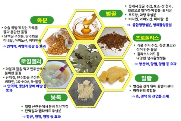 [농진청] 『양봉산물』 효능 소개… 항산화‧항염증 효과 기대