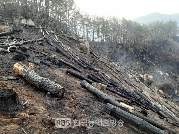 장수군 산서면 백운리 신흥마을 뒷산에서 산불발생