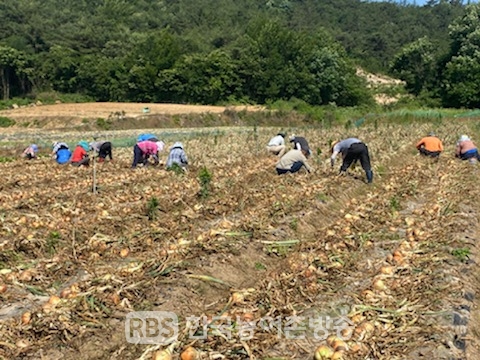 무안군 몽탄면 지역사회보장협의체, 농촌 일손돕기 봉사활동 펼쳐