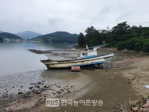 영광군, 민·관 합동 가마미해수욕장 청소 구슬땀