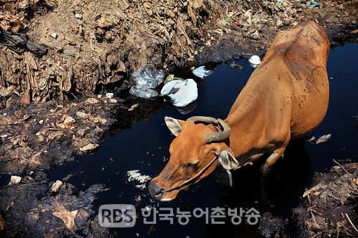 전북도, 환경오염 저감을 위한가축분뇨 공공처리시설점검