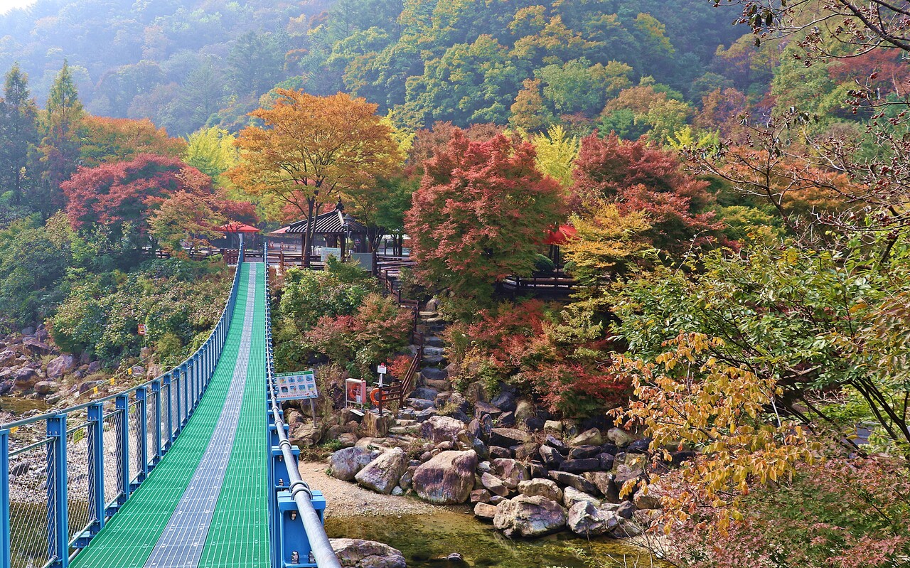장령산 자연휴양림 [merged→428]