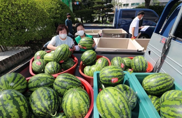엄궁농산물도매시장 관리사업소, 9번째 수박 나눔 행사 개최