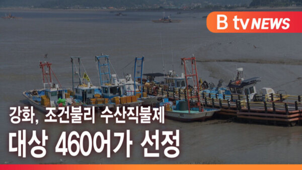 [B tv 인천뉴스] 강화, 조건불리 수산직불제 대상 460어가 선정