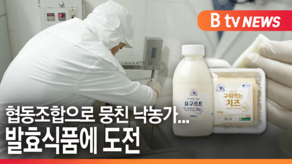 [B tv 수원뉴스] [추석] 협동조합으로 뭉친 낙농가...발효식품에 도전
