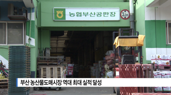[B tv 부산뉴스] 부산 농산물도매시장 역대 최대 실적 달성