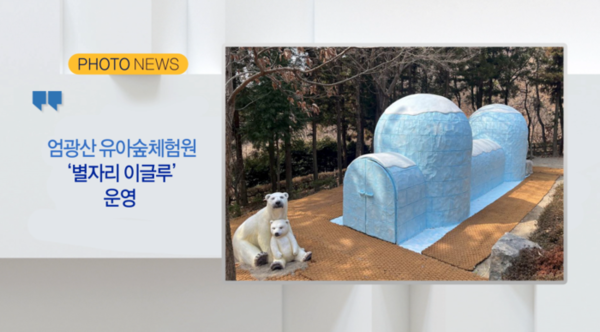 [B tv 부산뉴스] 엄광산 유아숲체험원,별자리 이글루운영 외 2