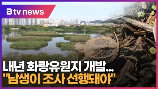 내년 화랑유원지 개발...남생이 조사 선행돼야 (B tv 한빛뉴스)