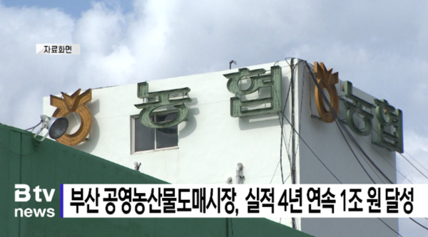 부산 공영농산물도매시장 역대 최대 실적 (B tv 부산뉴스)