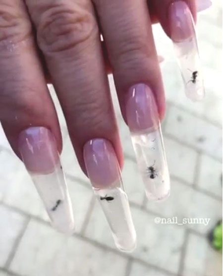 손톱에 살아있는 물고기를? “동물은 미용 소품이 아냐”