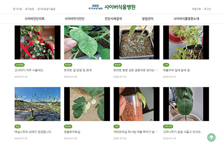 반려식물도 호캉스 즐겨요… 식집사 늘자 식물호텔·병원 각광