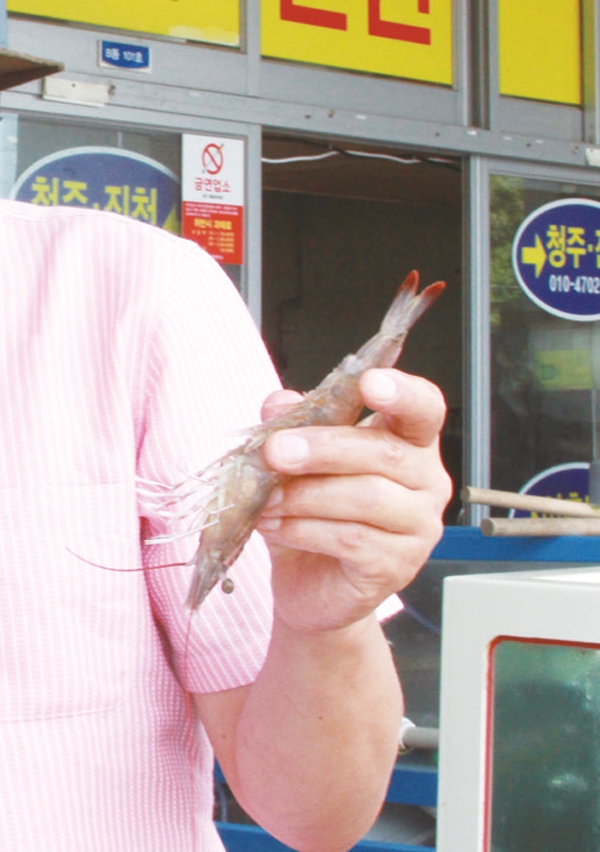 탱글 쫄깃한 식감과 달콤 짭짤한 감칠맛으로 인기 대하