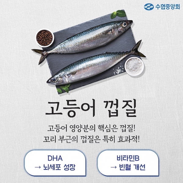 수협중앙회 블로그 우리바다 푸른이야기