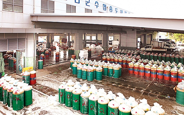 토굴에서 100일간 숙성 풍미 가득한 새우젓