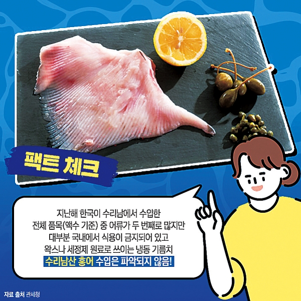 넷플릭스 인기작 수리남 속 홍어 실제로 있을까?