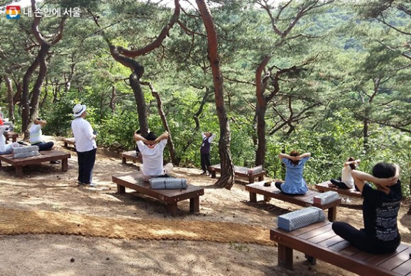 서울 봄나들이 장소 추천 남산 소나무 힐링숲, 노을가족캠핑장, 월드컵공원 파크골프장