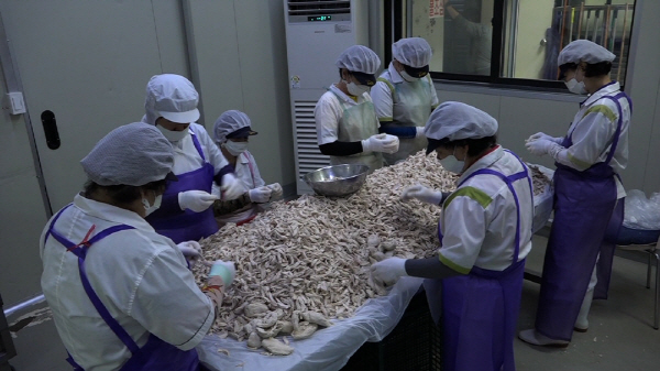 [EBS 극한직업] 무더위의 계절에 정성과 사랑으로 맛있는 국수와 냉면을 선사하는 사람들!
