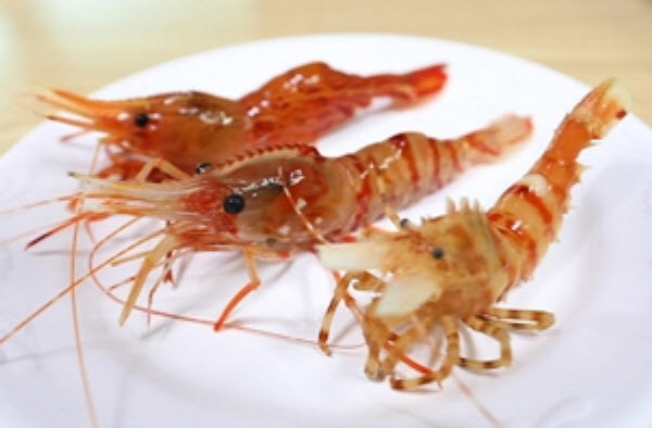 [EBS 한국기행] 대왕문어와 독도새우를 잡는 울릉도의 여름을 만나본다!