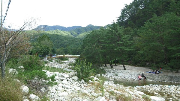 [김영철의 동네 한 바퀴] 경기도 포천 한탄강하늘다리·사과농장·화적연·이동갈비·기억서점·백운계곡·옹장굴·더덕밥상