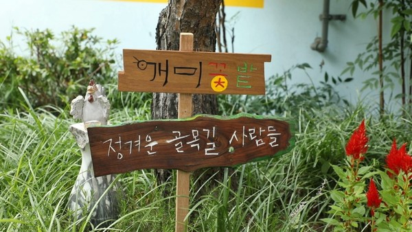 김영철의 동네 한 바퀴, 모전교 신당동백반집 119식당 동대문디자인플라자…청계천 옆 동네