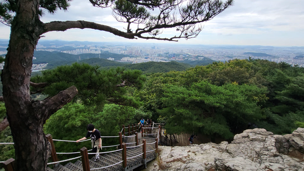 영상앨범 산, 수원 화성·광교저수지·형제봉·시루봉…전 유도 선수 김재엽과 함께하는 광교산 등산코스