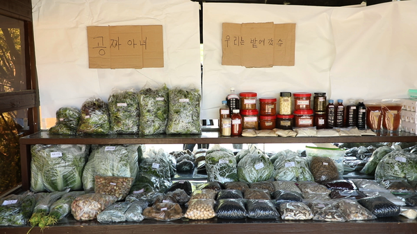 김영철의 동네 한 바퀴 장항 스카이워크 전망대, 구이·조림 박대요리, 공작선, 단팥빵, 콩국수…충남 서천
