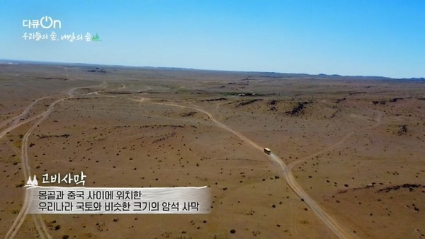 [다큐온] 인공 숲의 기적 그린 미라클 한국, 몽골 고비사막에 도움의 손길 건네다