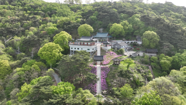 동네 한 바퀴, 음성품바축제 100년 막걸리 가섭사 십전대보오리백숙 송연먹 올갱이탕…음성에서 가볼만한 곳과 맛집 소개