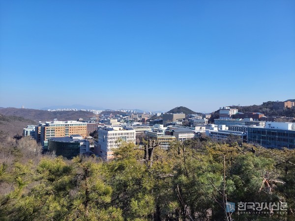 서울대학교 김진홍 교수팀, 연골의 노화와 퇴행성관절염, 단백질 당화에 원인이 있었다!