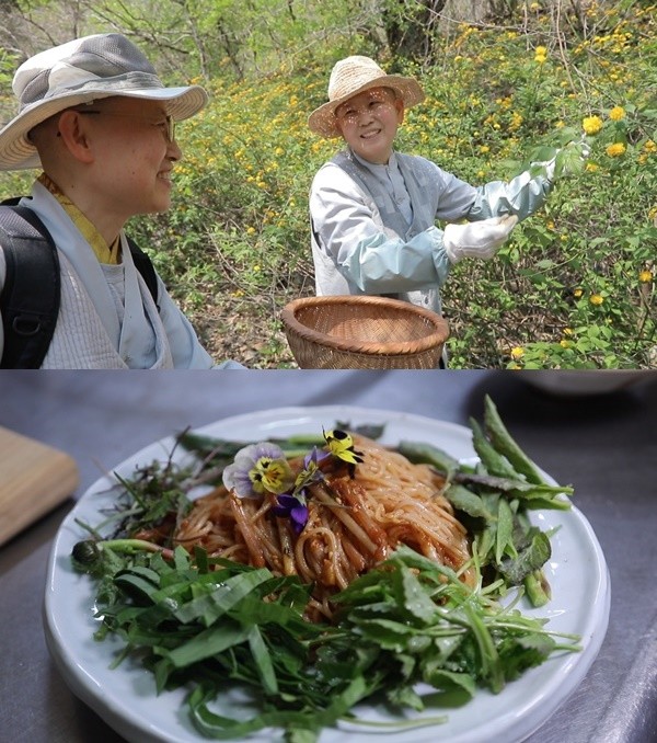 [EBS 한국기행] 산야초 비빔국수·비비추 쑥개떡…횡성 금수사 비구니 스님 잡초 레시피