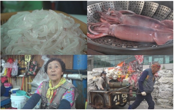 [EBS 극한직업] 바다의 공작, 오징어의 귀환…金징어 10년만의 풍년, 조업 현장