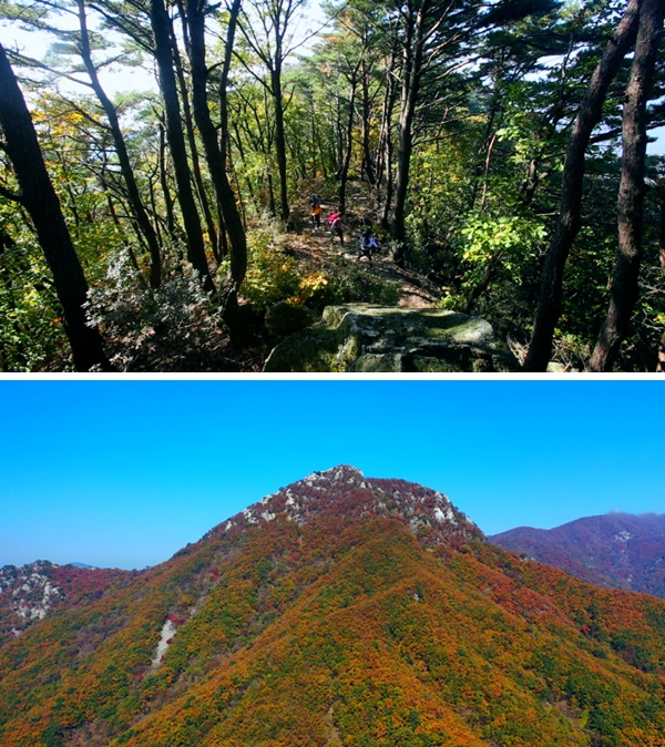 [영상앨범 산] 가을의 선물 양평 용문산…용문사~새숙골~두리봉~백운봉~장군봉 산행